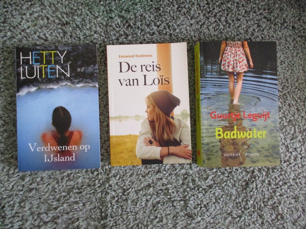 De reis van Lois Verdwenen op IJsland  x christelijke romans, Ophalen of Verzenden, Gelezen