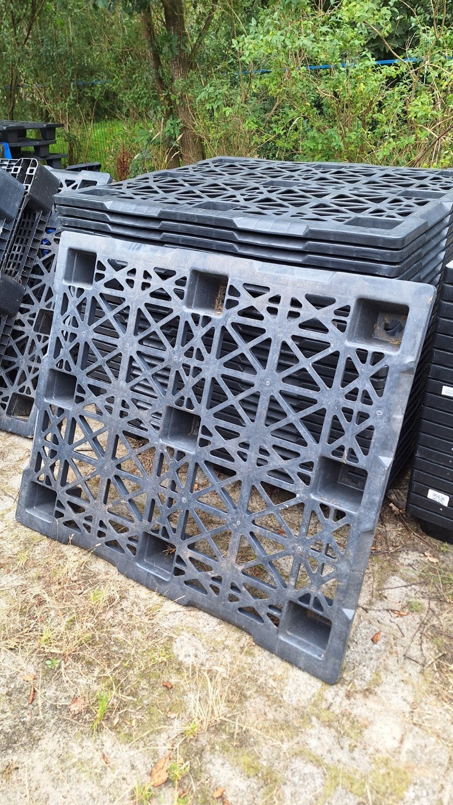50 kunstof /plastic pallets (paddock roosters) te koop, Dieren en Toebehoren, Ophalen, Zo goed als nieuw, Overige disciplines