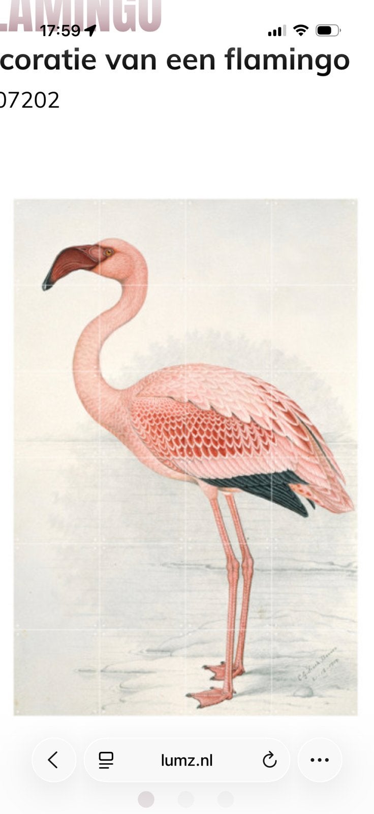 Wanddecoratie ixxi flamingo roze, Ophalen, Steen/keramiek, Zo goed als nieuw, Met ophangsysteem