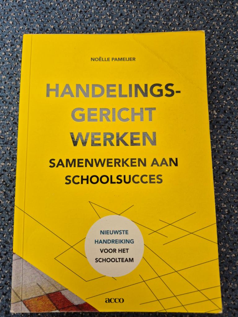Handelingsgericht werken | Noëlle Pameijer, Noëlle Pameijer, Sociale wetenschap, Ophalen of Verzenden, Zo goed als nieuw
