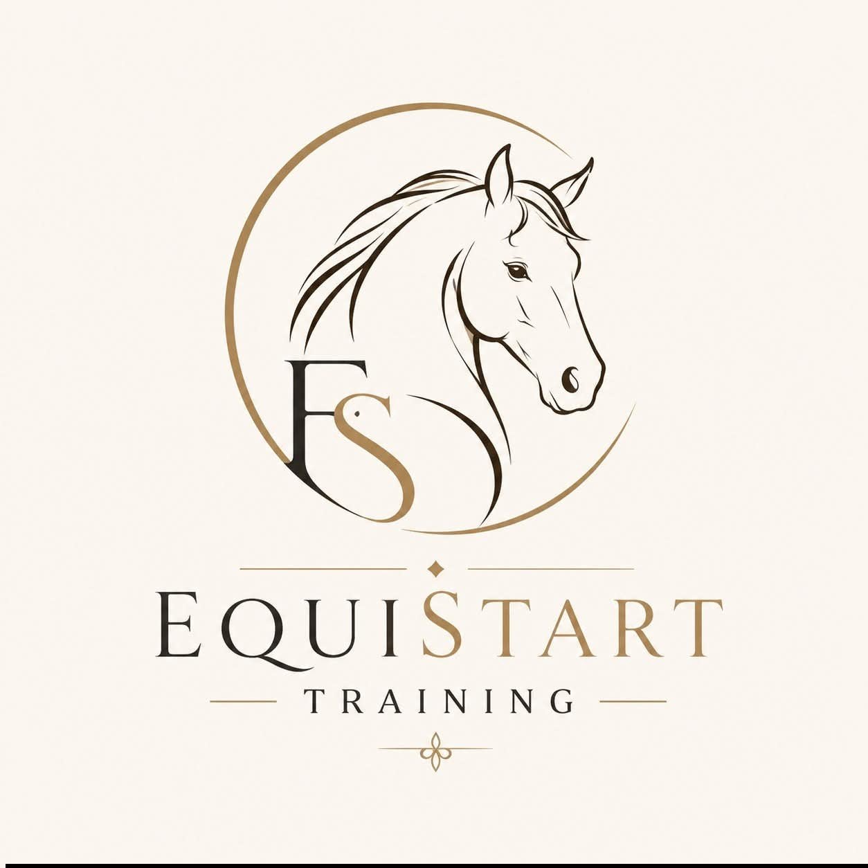 Trainingsplek (zadelmak maken en doorrijden), Weidegang, 1 paard of pony