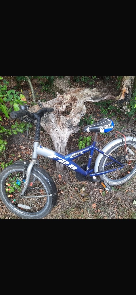 Jongensfiets, Ophalen, Gebruikt, Terugtraprem, 20 inch