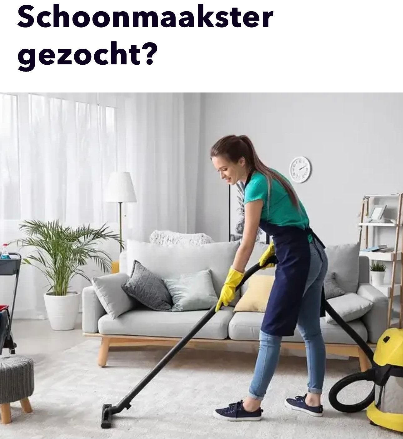 WİE Zoekt huishoudelijke hulp in Leiden? En omgeving Leiden?, Koken