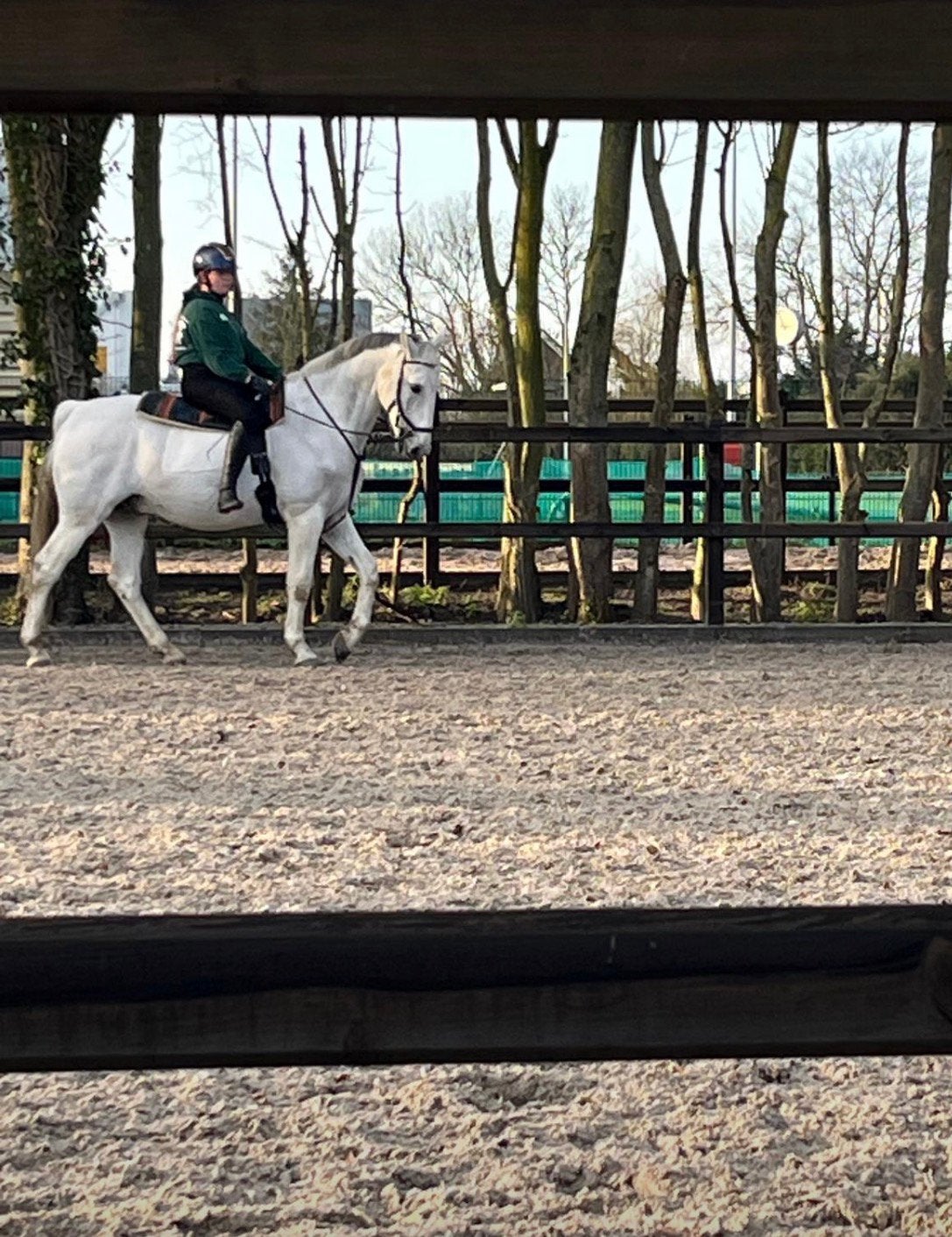 Verzorger/bijrijder aangeboden, verzorg pony/paard gezocht., Ophalen of Verzenden, Zo goed als nieuw