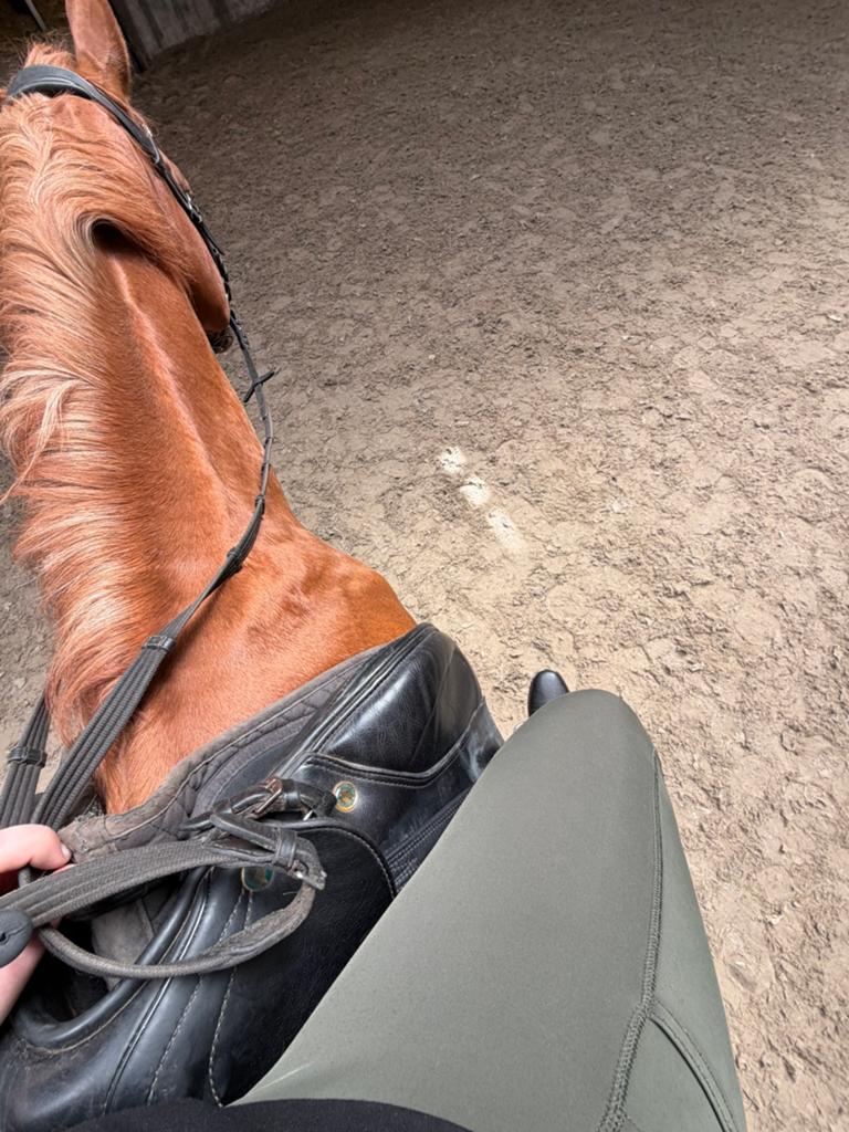 Betrouwbare bijrijder/verzorger, Ophalen of Verzenden, Zo goed als nieuw