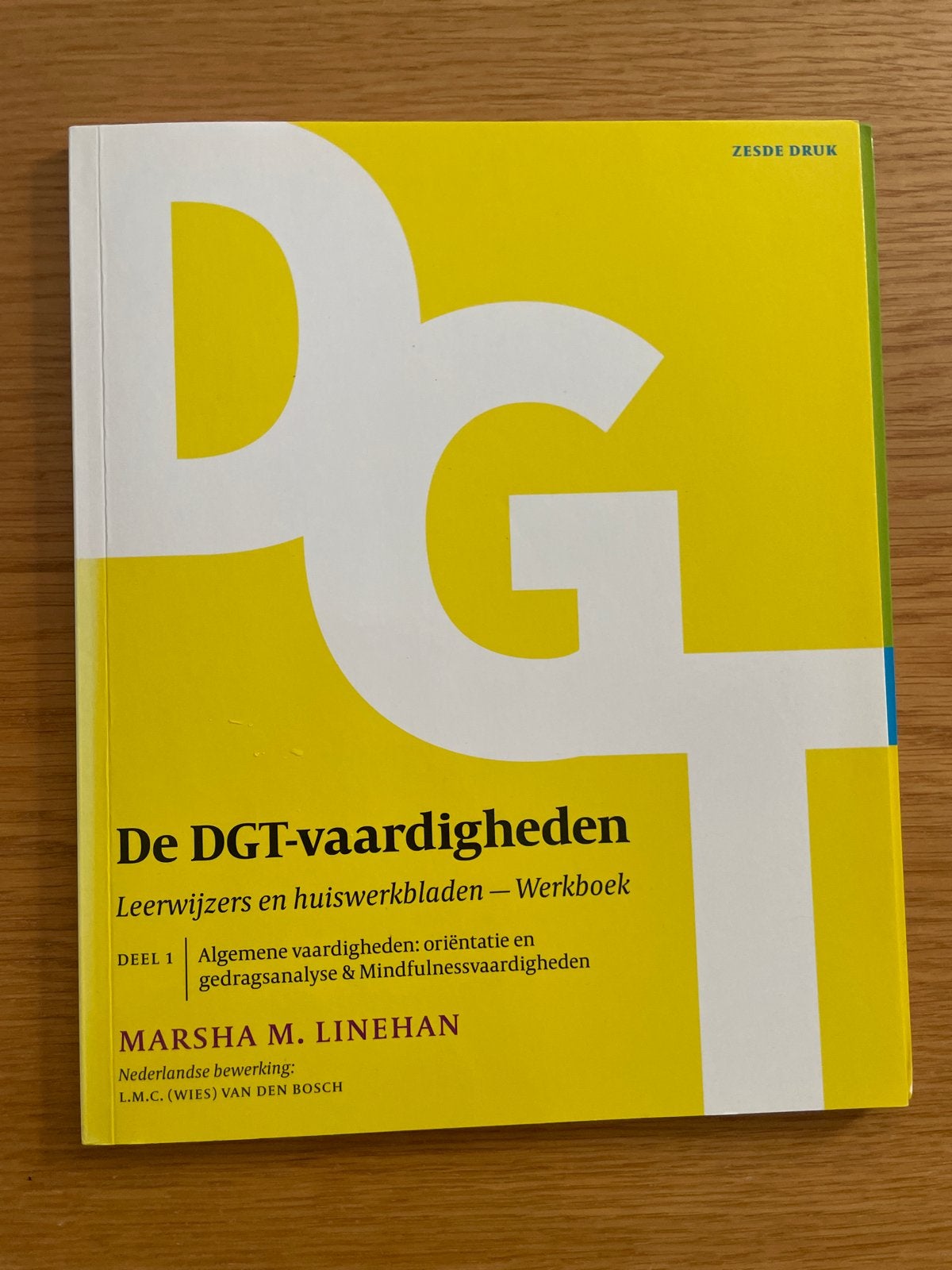 De DGT-vaardigheden Leerwijzers en huiswerkbladen, Ophalen of Verzenden, Gamma, Nieuw, HBO