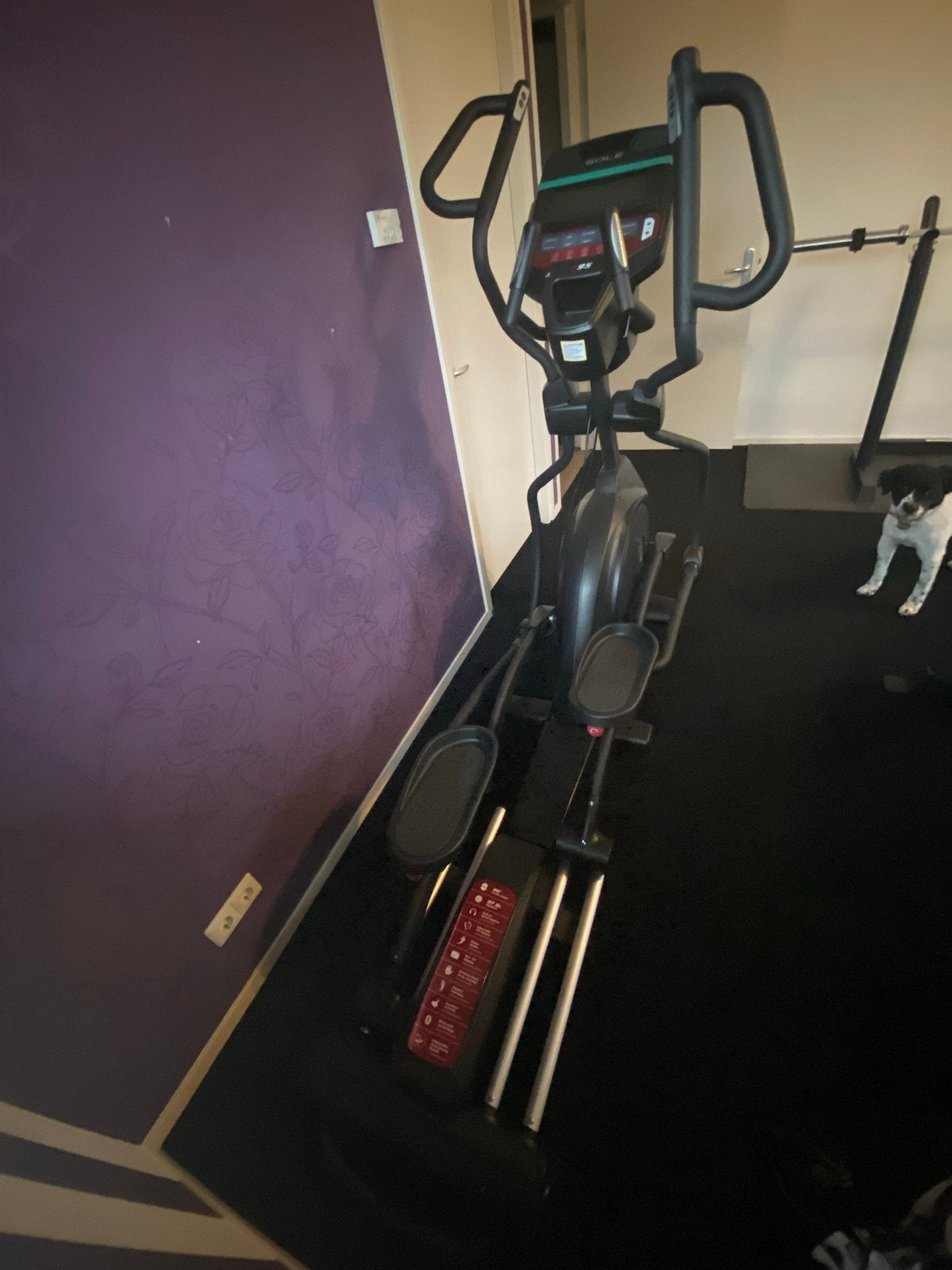 Sole Fitness E955 Crostrainer, Benen, Ophalen of Verzenden, Zo goed als nieuw, Crosstrainer