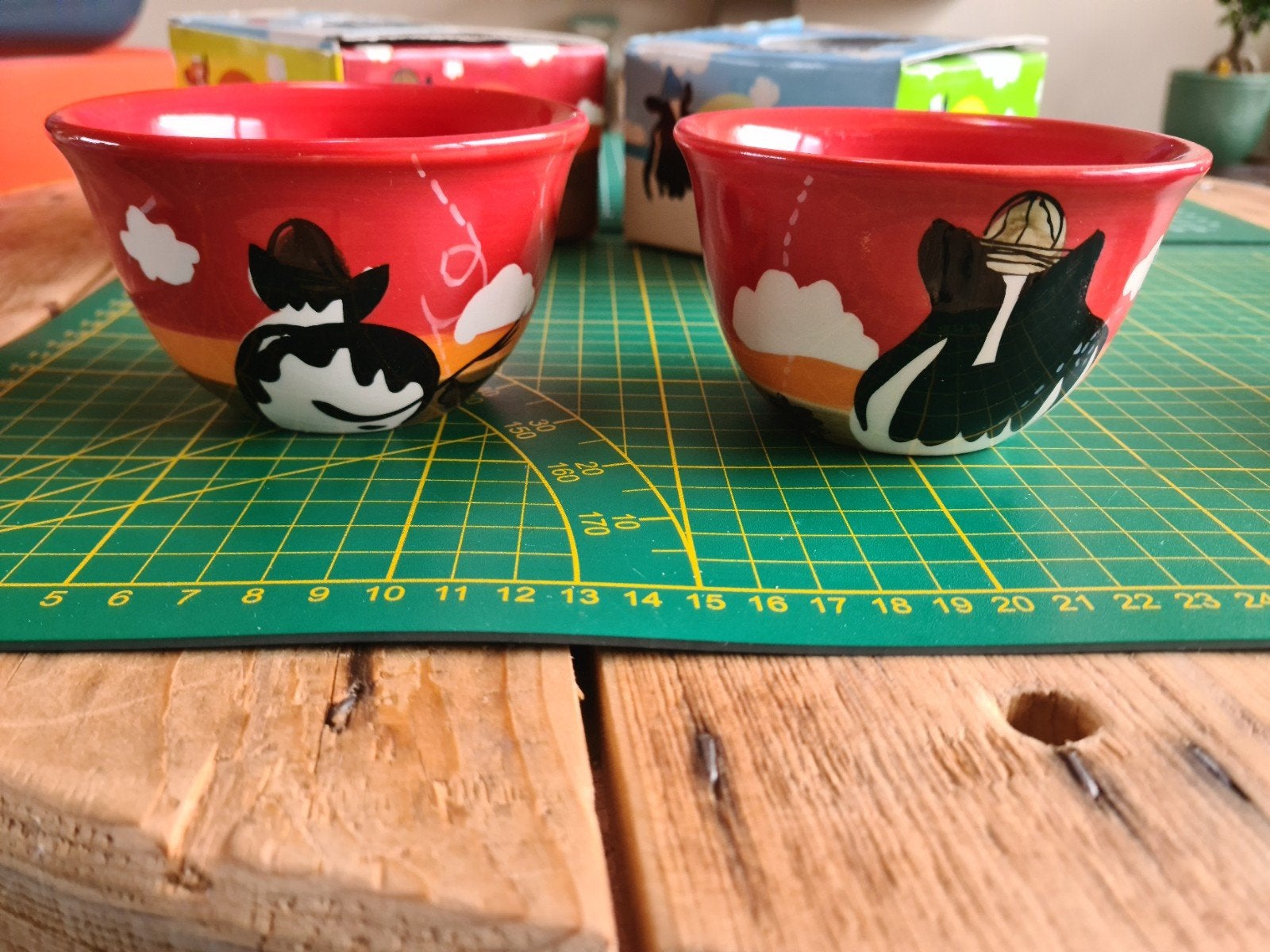 Ben & Jerry's ice bowls - ijs bakjes, Overige materialen, Overige typen, Ophalen of Verzenden, Zo goed als nieuw