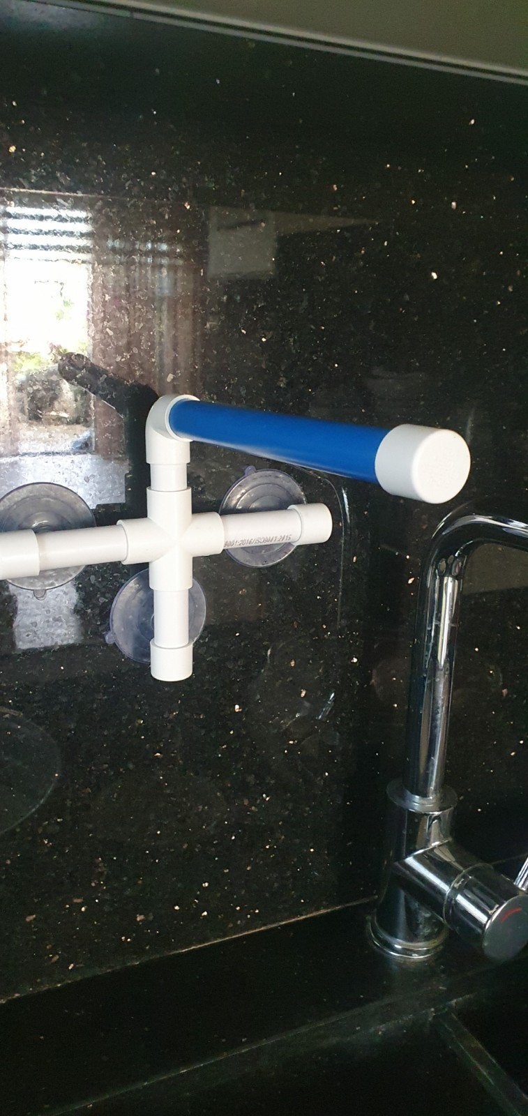 Papegaaien of vogel douche standaard, Mannelijk, Papegaai