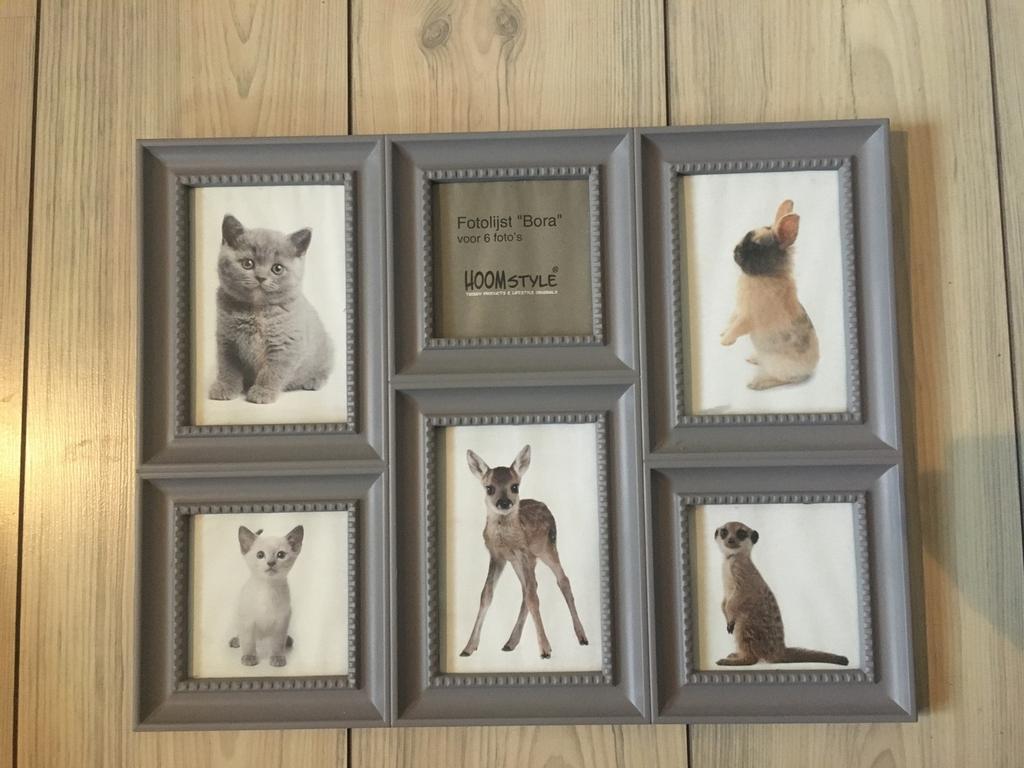 Nieuwe fotolijst voor kinderkamer, Ophalen of Verzenden, Nieuw, Wanddecoratie