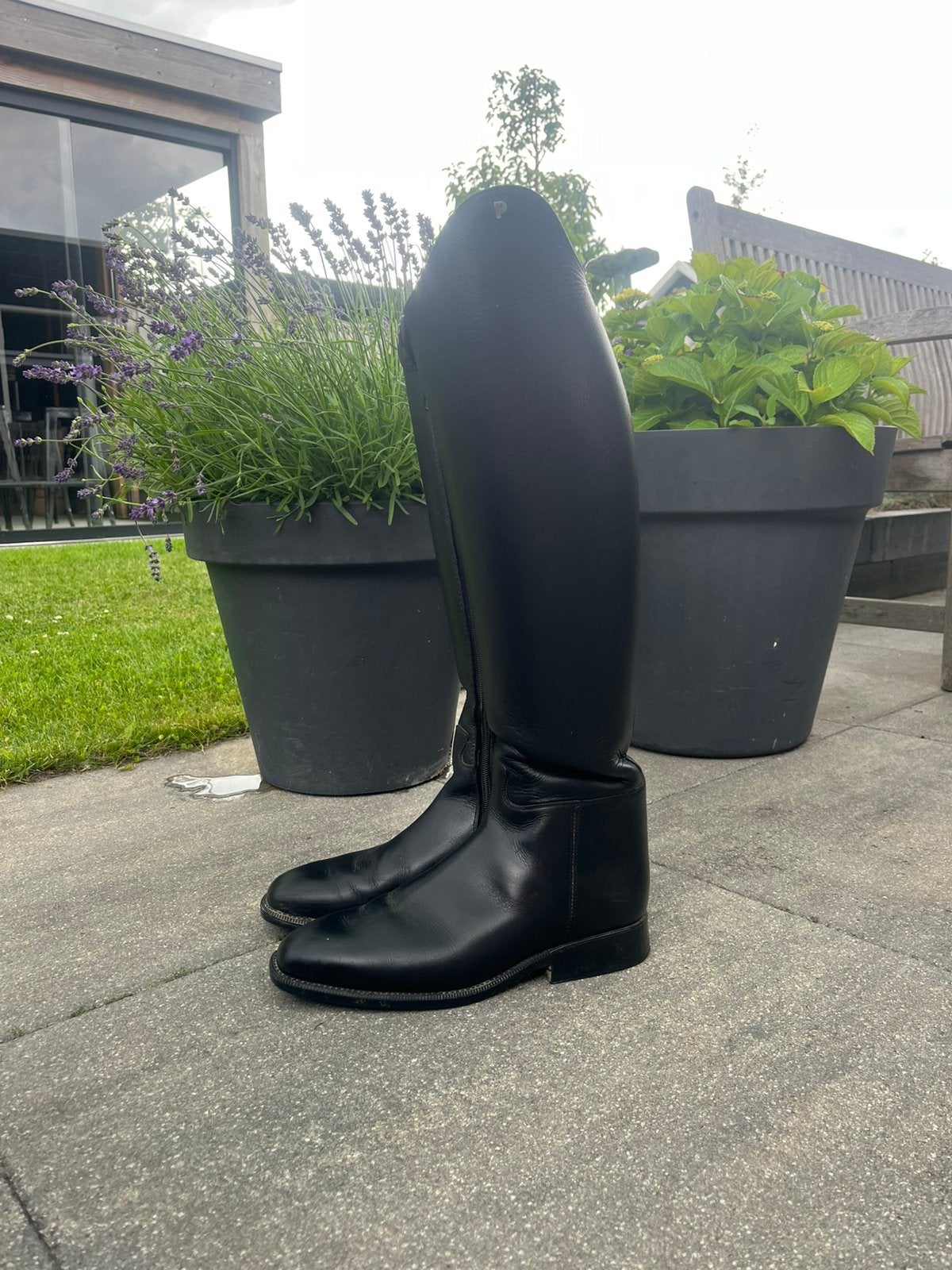 Hele nette petrie laarzen maat 42, Dieren en Toebehoren, Paardrijkleding, Ophalen of Verzenden, Zo goed als nieuw, Dressuur, Schoeisel