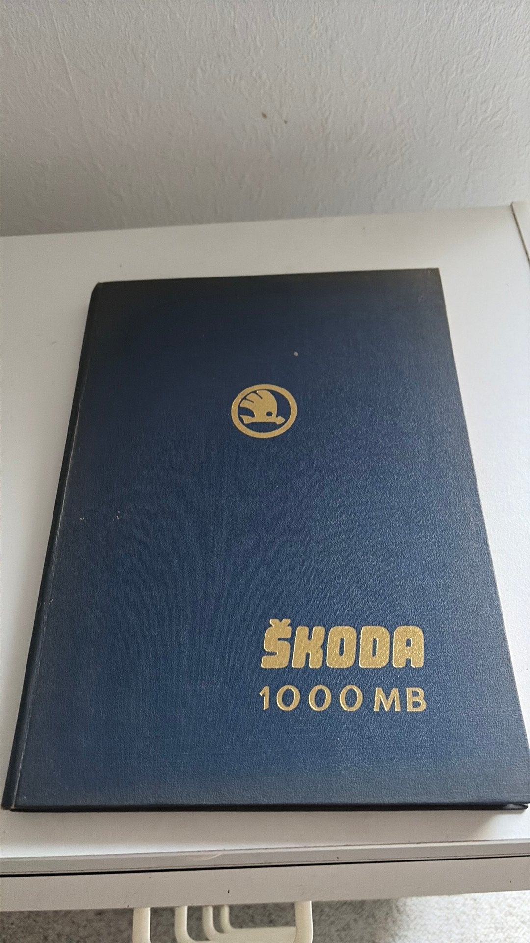 Boek Skoda 1000 MB, Ophalen of Verzenden, Gelezen, Overige merken