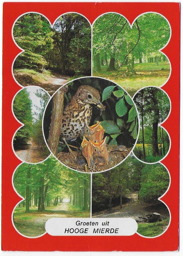 Hooge Mierde Gelopen Ansichtkaart ( C3 ), Verzamelen, Ansichtkaarten | Nederland, Verzenden, 1980 tot heden, Gelopen