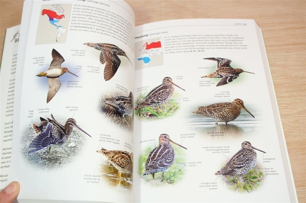 Zeldzame Vogels van Europa — Determinatiegids Dwaalgasten, Ophalen of Verzenden, Zo goed als nieuw, Vogels
