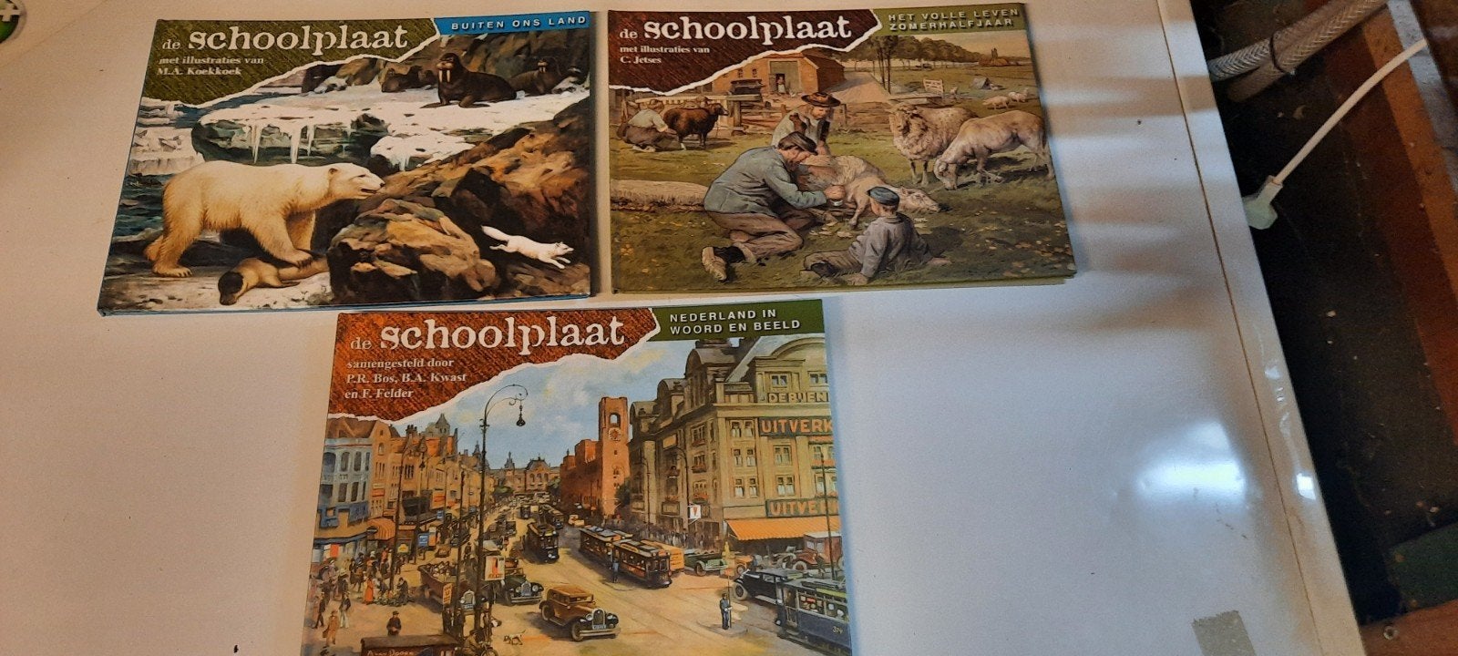 3 boekjes uit de "De Schoolplaat" serie, Antiek en Kunst, Antiek | Schoolplaten, Ophalen of Verzenden, Natuur en Biologie