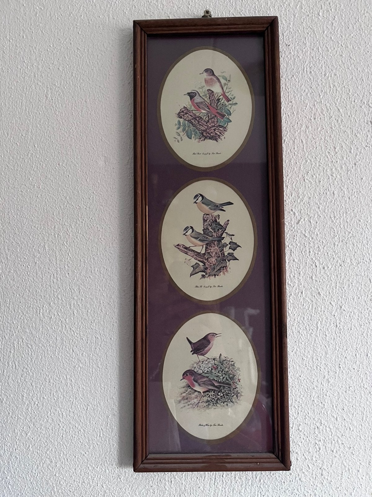 Vintage wandpaneel prent met vogeltafereeltje, Ophalen of Verzenden