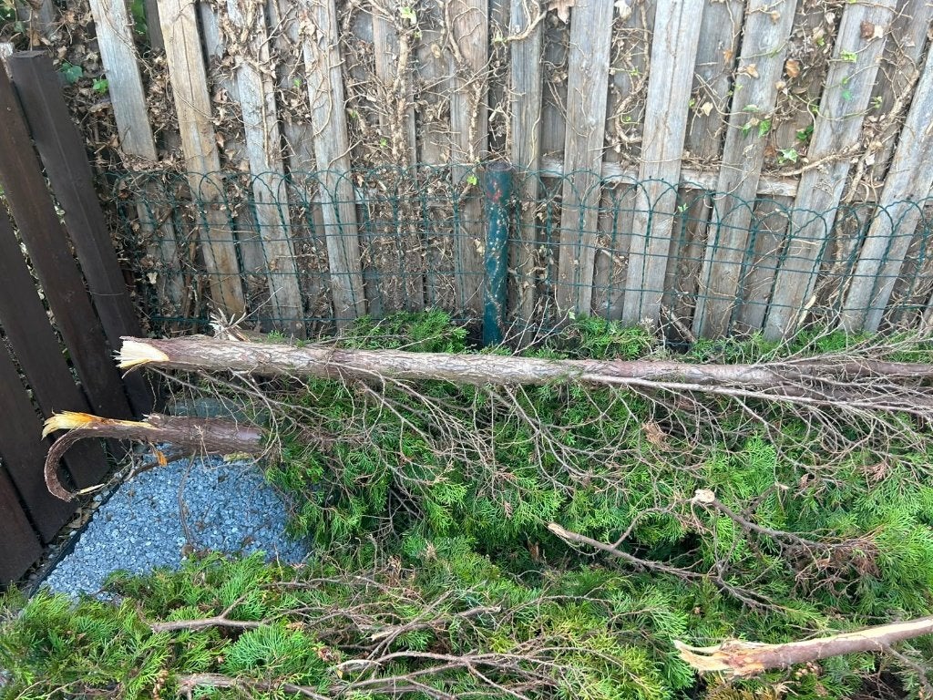 Brandhout gratis afhalen, Tuin en Terras, Haardhout, Minder dan 3 m³, Ophalen, Stammen