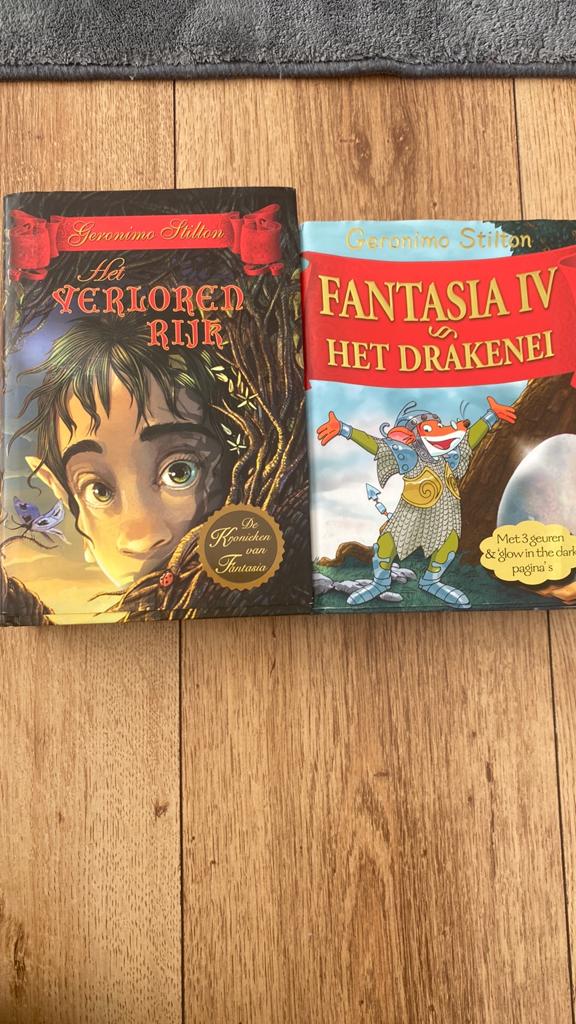 Geronimo Stilton: Het Verloren Rijk & Fantasia IV Draken, Ophalen, Zo goed als nieuw
