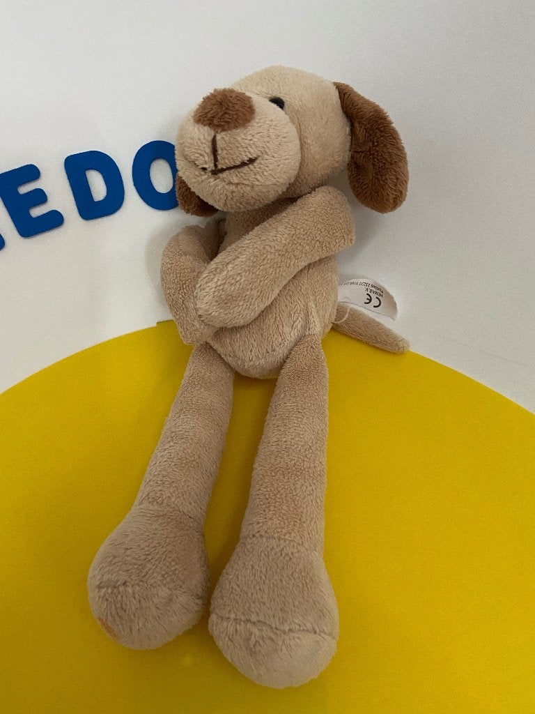 K2136 hema hond hondje magneethandjes, Ophalen of Verzenden, Zo goed als nieuw, Hond