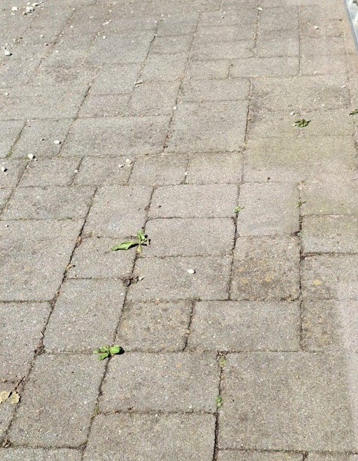 gratis getrommelde grijze stenen +/- 50m2, Tuin en Terras, Tegels en Klinkers, Ophalen, Beton, Klinkers