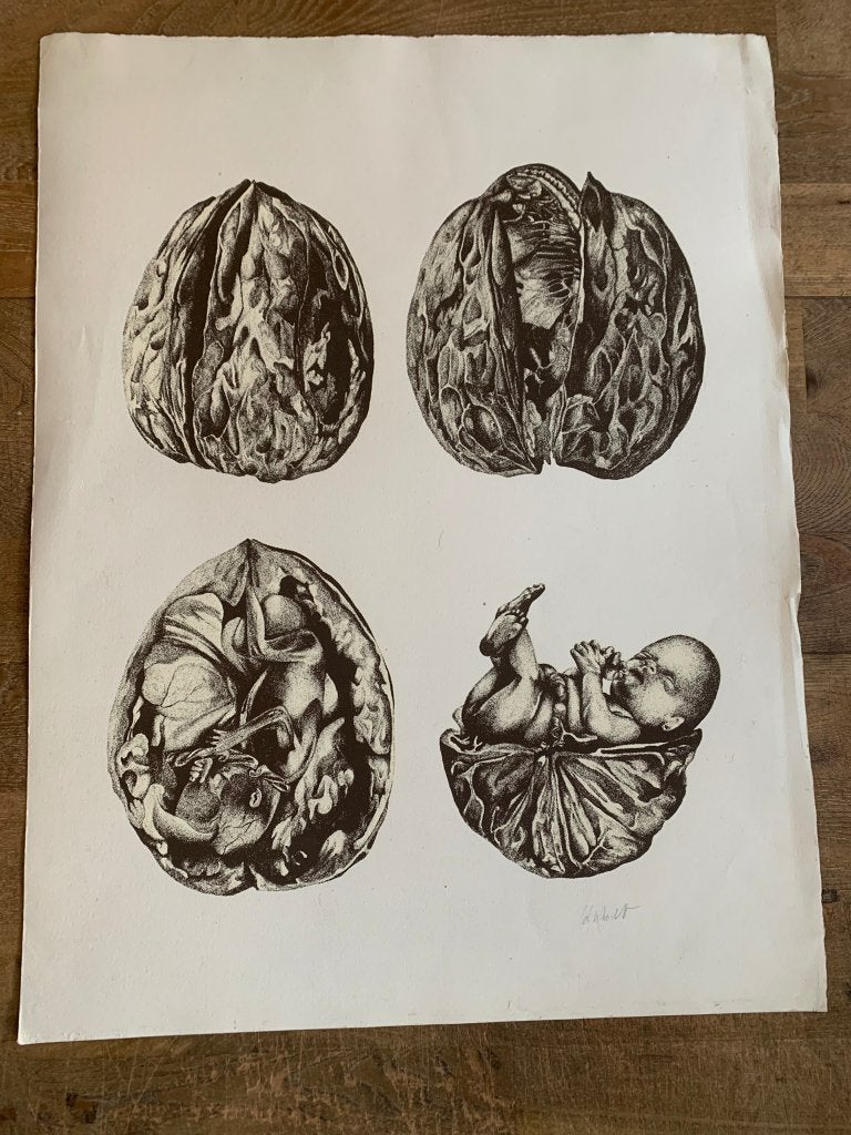 Ben Bodt Baby geboren uit walnoot litho 1995, Ophalen of Verzenden