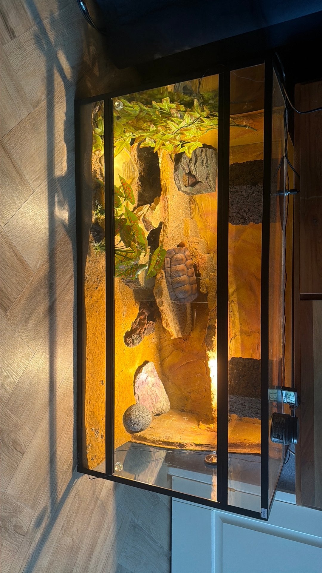 Terrarium met luipaard gekkos, Dieren en Toebehoren, Reptielen en Amfibieën | Toebehoren, Zo goed als nieuw, Terrarium of Paludarium