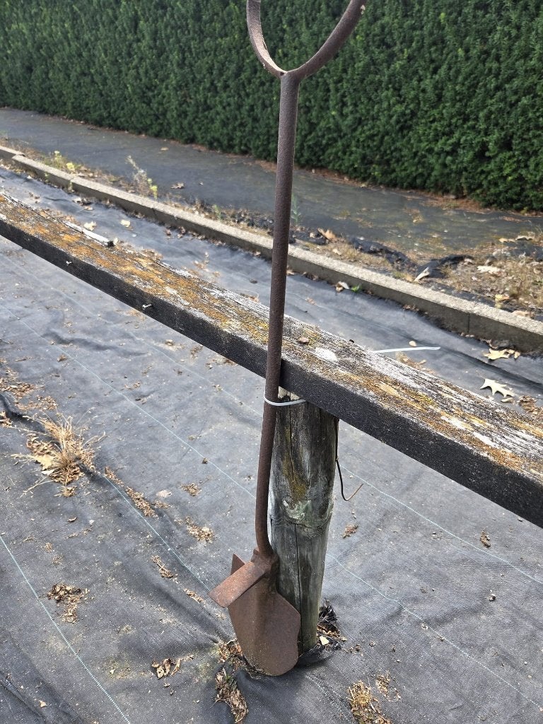 Oude kuilgrasschep / hooispade, Tuin en Terras, Tuinbeelden, Ophalen, Gebruikt, Metaal, Overige typen