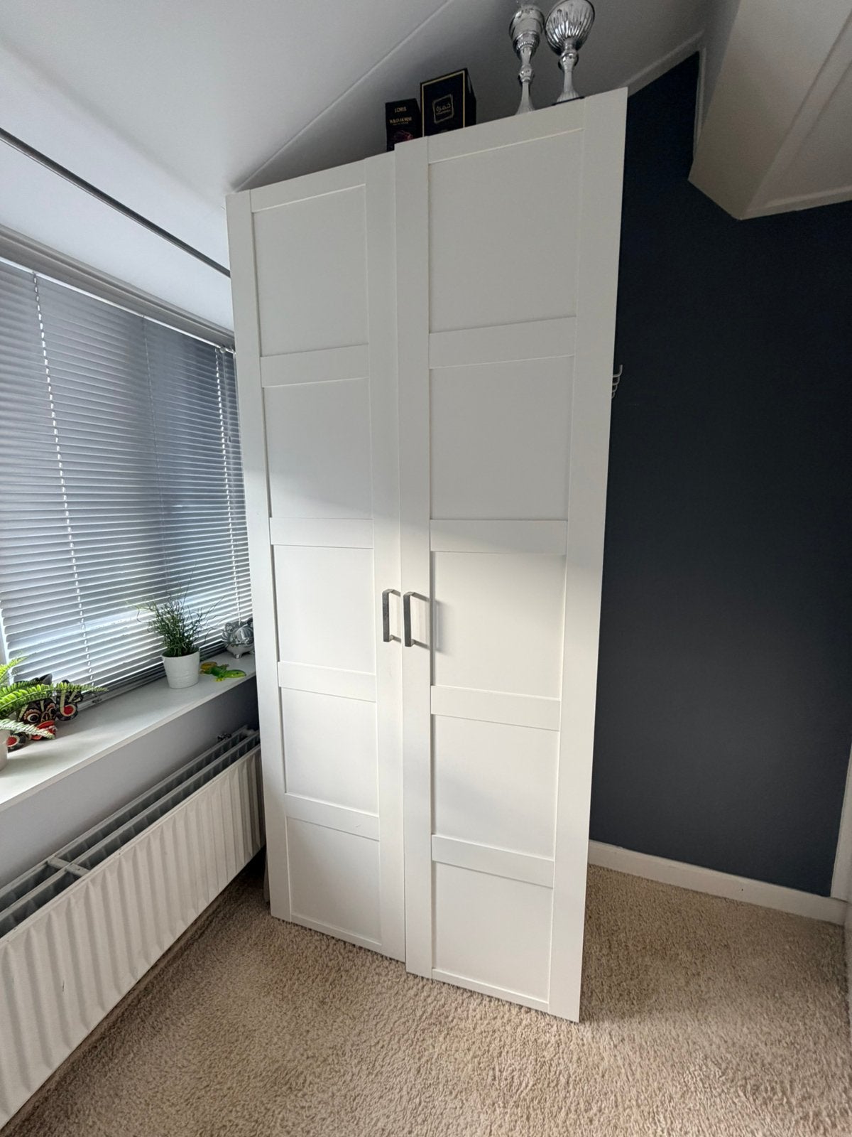 IKEA Pax kast (ingekort) met Bergsbo deuren (220x100x60), Ophalen, Gebruikt, 200 cm of meer, 50 tot 100 cm