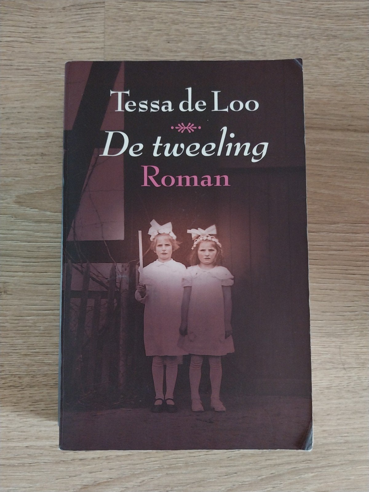 Tessa de loo - de tweeling - roman boek, Ophalen of Verzenden, Zo goed als nieuw, Tessa de Loo