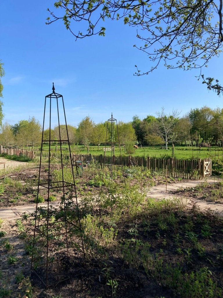 Obelisk, stalen tuinornament, 10mm dik, 3 maten, vanaf €75, Ophalen, Nieuw