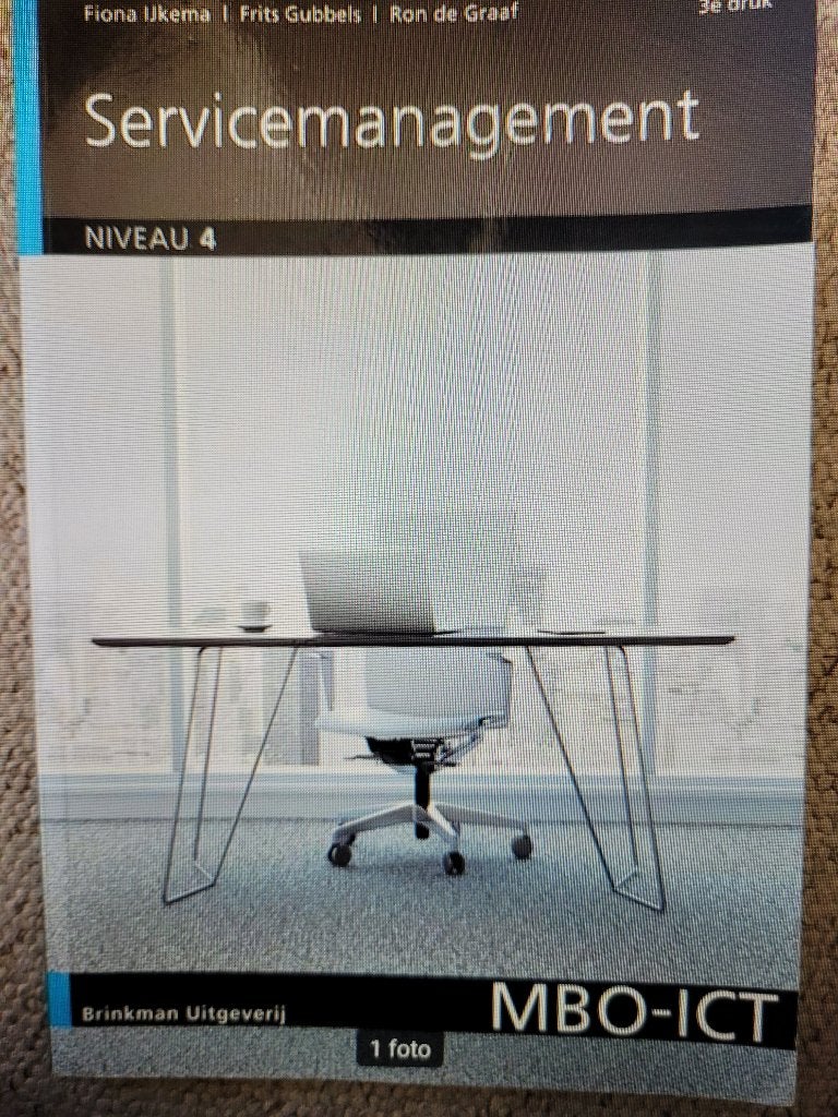 !! Frits Gubbels - MBO ICT niveau 4 !!, Boeken, Ophalen of Verzenden, Zo goed als nieuw, Beta, Frits Gubbels
