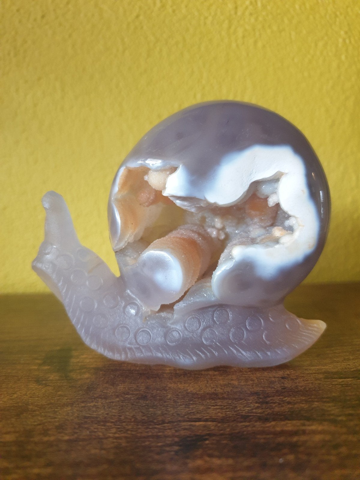 Slak agaat, Ophalen of Verzenden