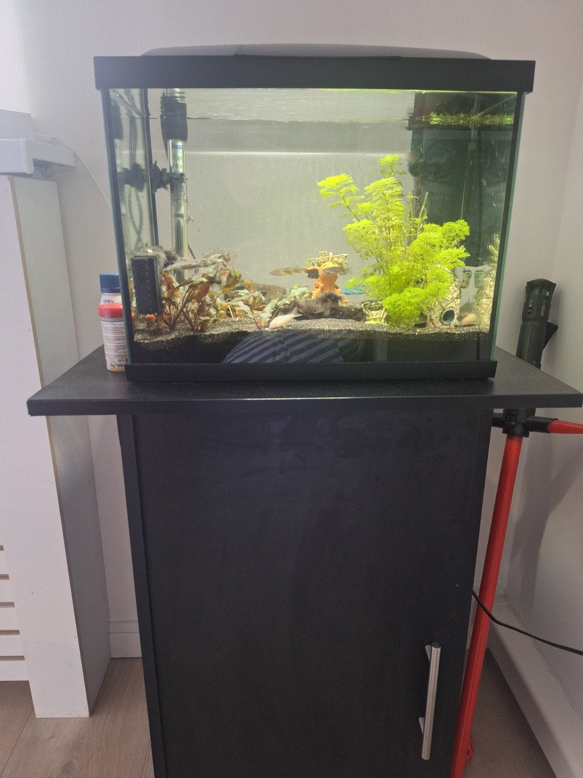 Complete aquarium incl. kast en toebehoren, Ophalen, Gebruikt, Superfish, Pomp