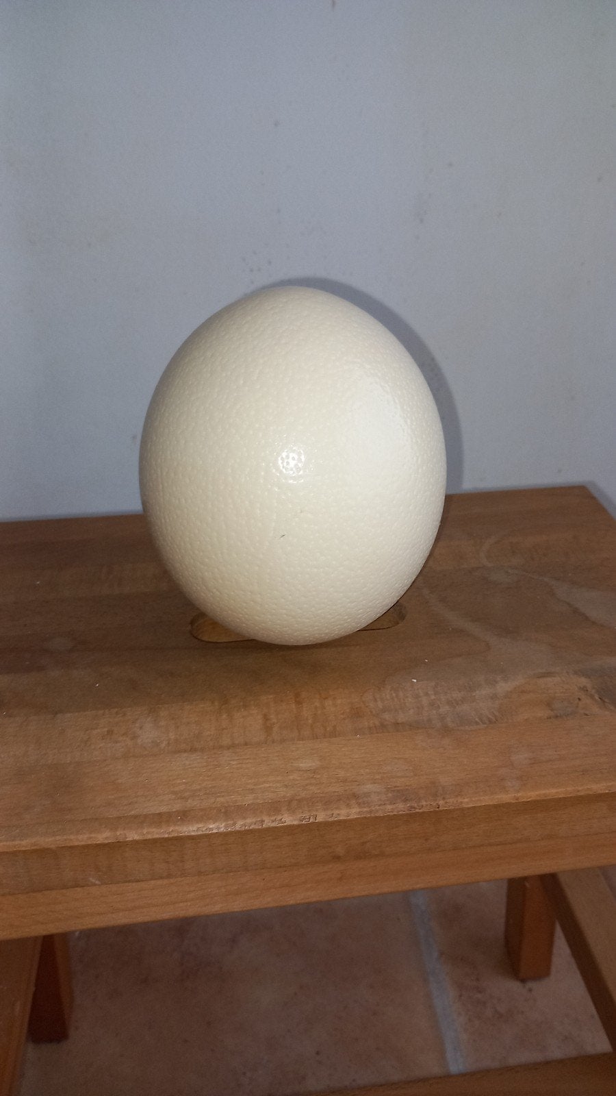 Struisvogel ei, Ophalen
