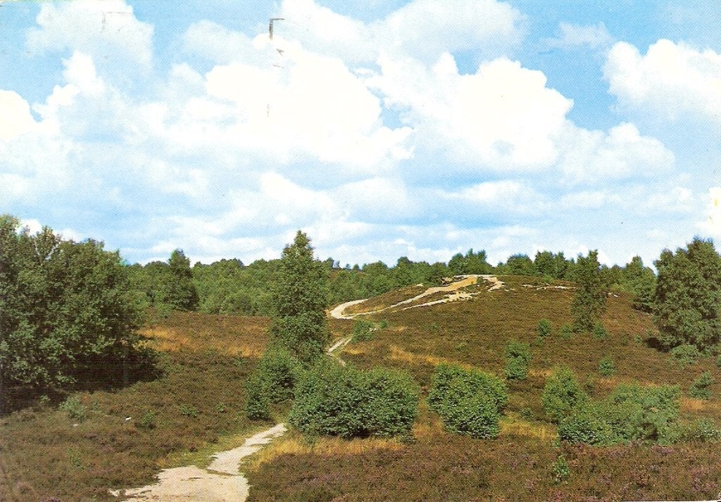 De Steeg            639a, Ophalen of Verzenden, Voor 1920, Gelderland