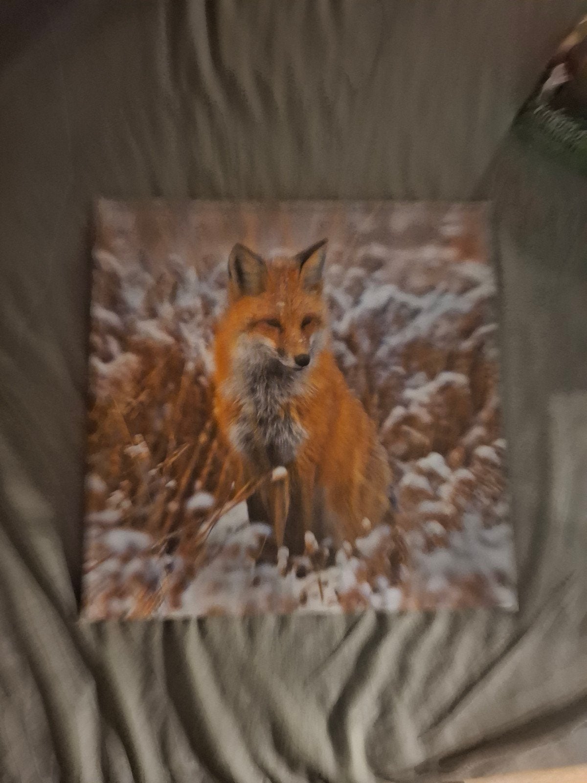 Canvas schilderij met vos in de sneeuw, Ophalen, 50 – 75, Zo goed als nieuw, Schilderij
