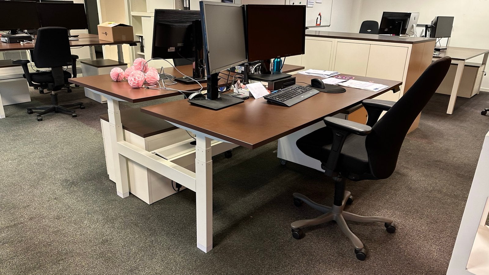 Duo-bureau met verstelbare hoogte, Hout, Ophalen of Verzenden, Zo goed als nieuw, Duo-bureau
