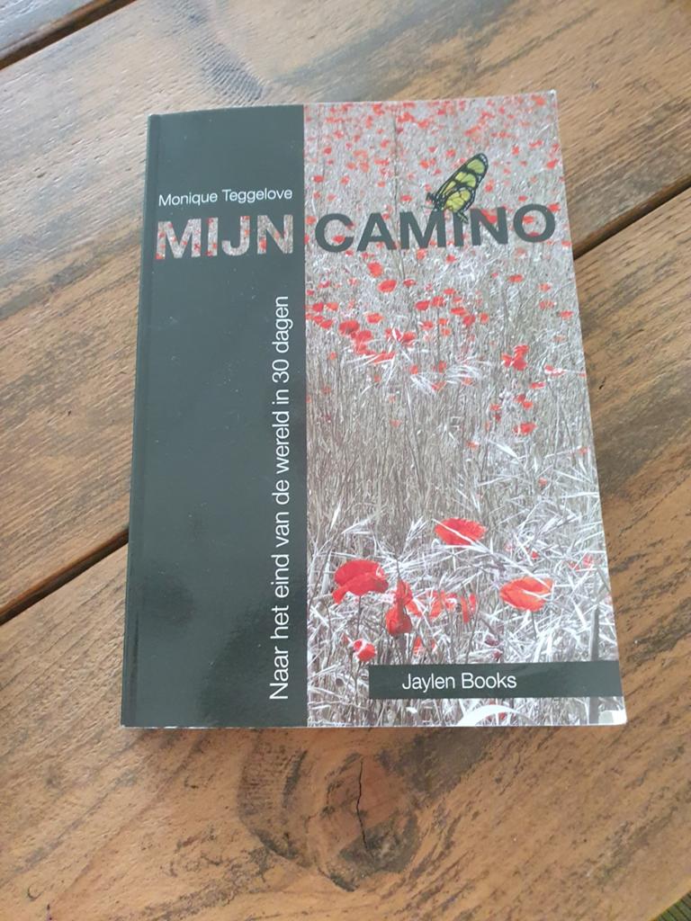 Mijn Camino - Monique Teggelove, Verzenden, Zo goed als nieuw, Europa