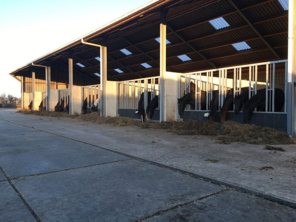 Kleinschalige opfok, Stalling, 4 paarden of pony's of meer