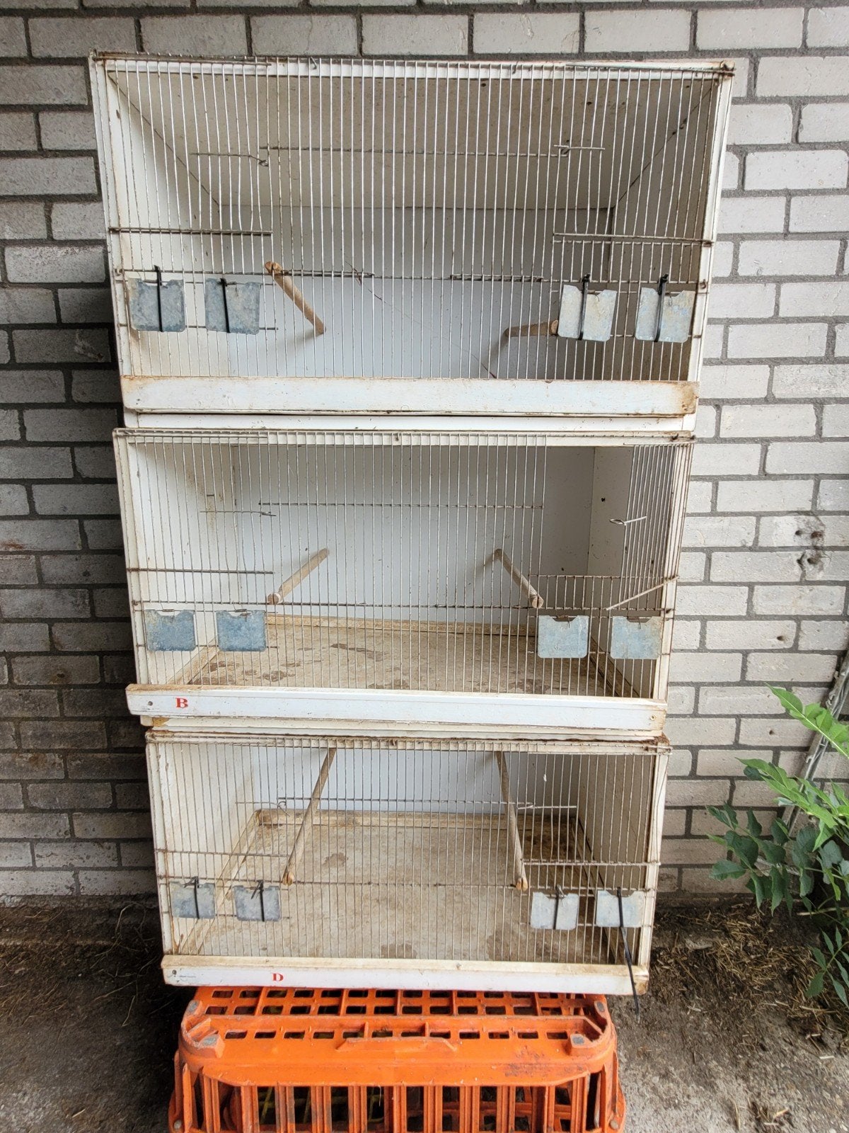 3 losse broed kooien, Dieren en Toebehoren, Vogels | Hokken en Kooien, Ophalen, Hout, Broedkooi of Kweekkooi