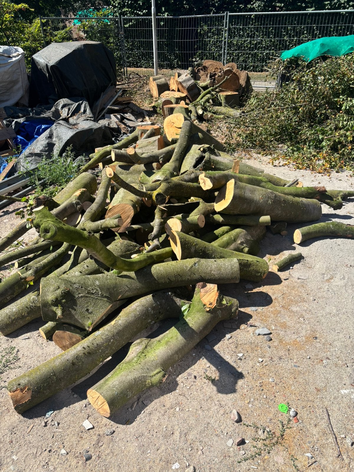 Beukenhout te koop, Tuin en Terras, Haardhout, Minder dan 3 m³, Ophalen