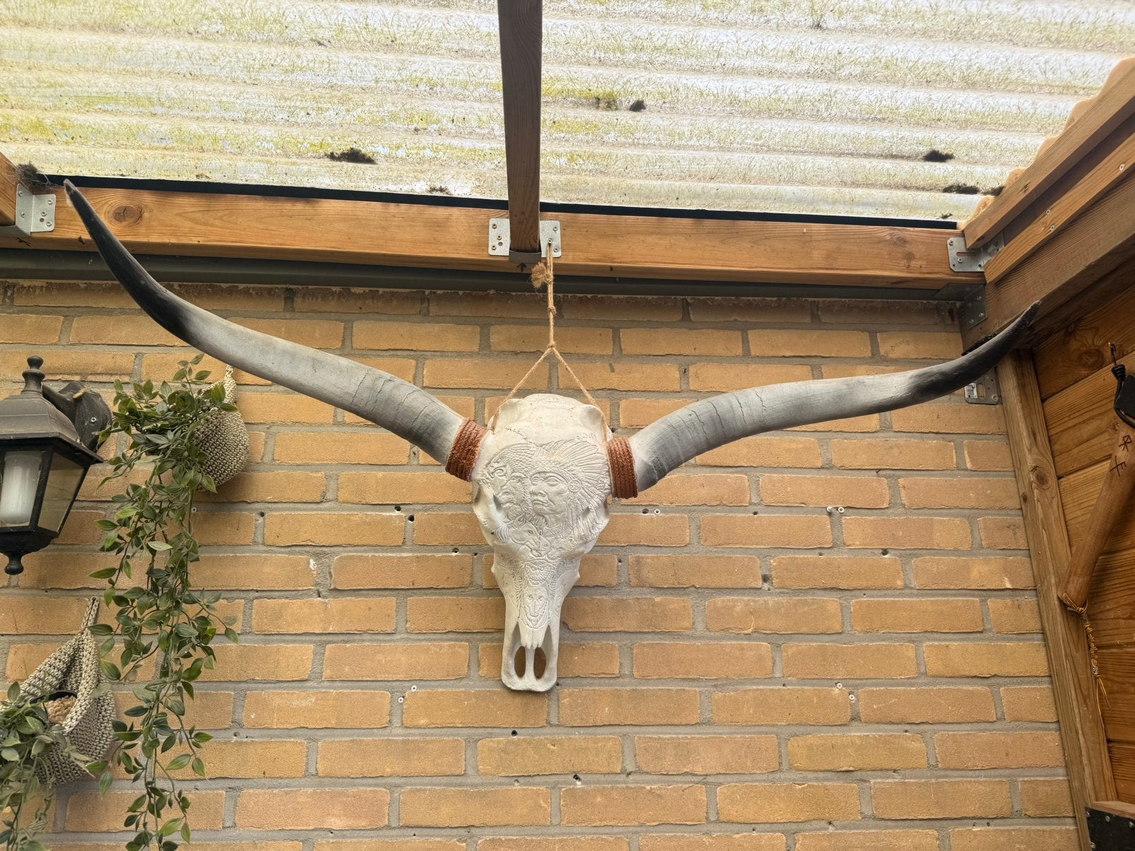 Decoratieve schedel met hoorns - Wanddecoratie, Huis en Inrichting, Ophalen, Gebruikt, Wandhanger, Kunststof