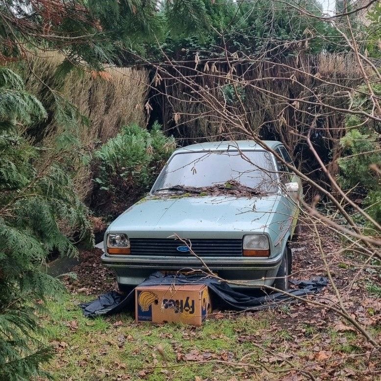GEVRAAGD! Ford fiesta mk1/2/3 Onderdelen en/of auto’s, Auto-onderdelen, Ophalen of Verzenden, Ford