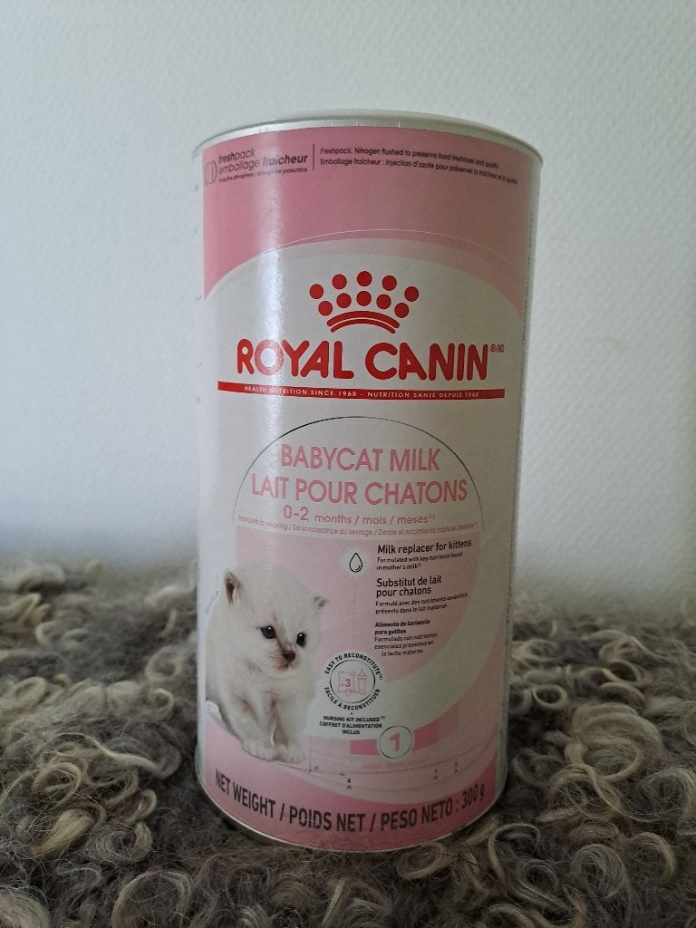 kittenmelk Royal Canin, Ophalen, Kat