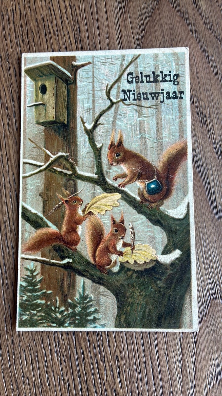 Fantasie. Eekhoorntje met tas, op blad schrijven., Ophalen of Verzenden