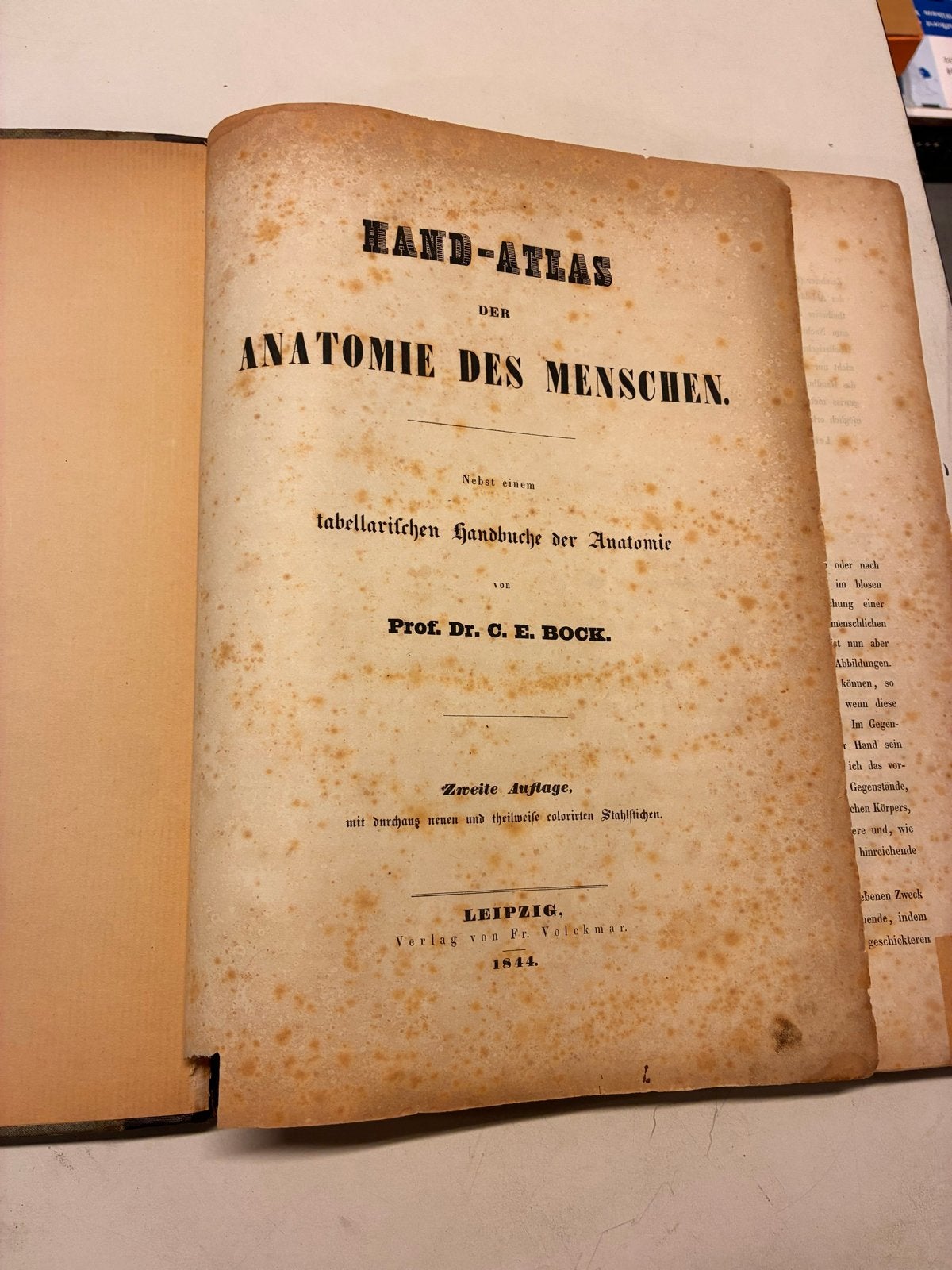 Hand-Atlas der Anatomie des Menschen - Prof. Dr. C. E. Bock, Ophalen of Verzenden, Gelezen, Overige onderwerpen