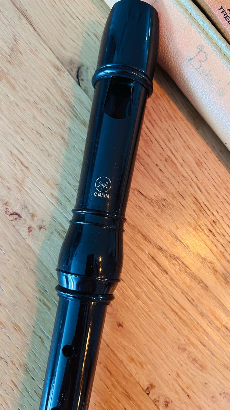Yamaha altblokfluit met hoesje, Muziek en Instrumenten, Ophalen of Verzenden, Zo goed als nieuw, Alt, Kunststof
