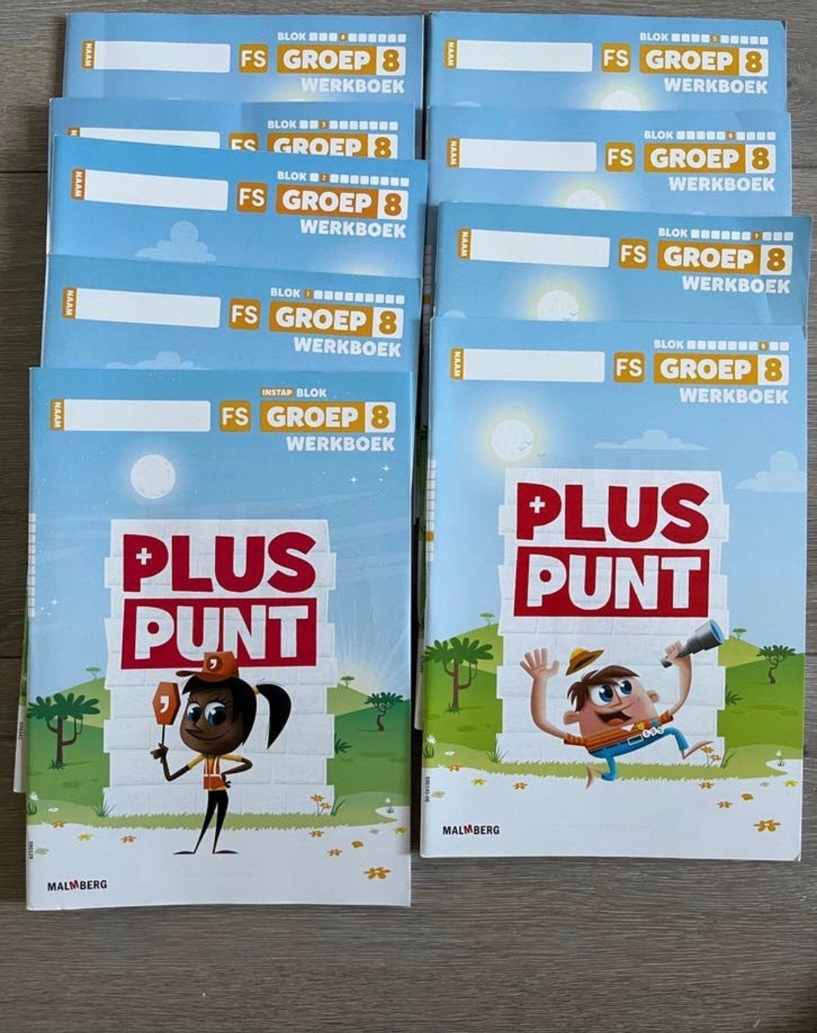 Rekenen Pluspunt Groep 8 Werkboeken - Complete Set, Ophalen of Verzenden, Gelezen, Overige niveaus, Overige vakken