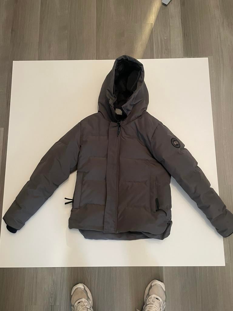 Canada Goose | Mac Milan | Black edition | L, Ophalen of Verzenden, Zo goed als nieuw, Maat 52/54 (L), Grijs