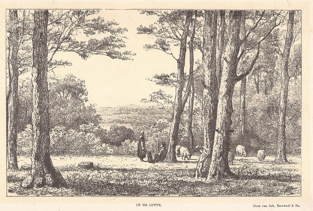 In de Lutte. Originele Geel Getinte Litho Schipperus 1890, 10 cm, 1800 - 1899, Ophalen of Verzenden, Landschap